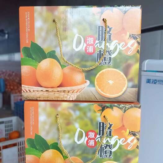 溆浦县原味纽荷尔脐橙