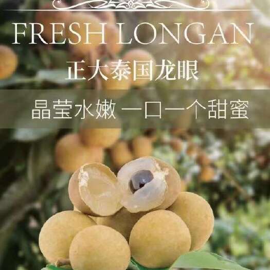 上海高品质泰国龙眼，甜度高 ，肉多核小，全链路可溯源，