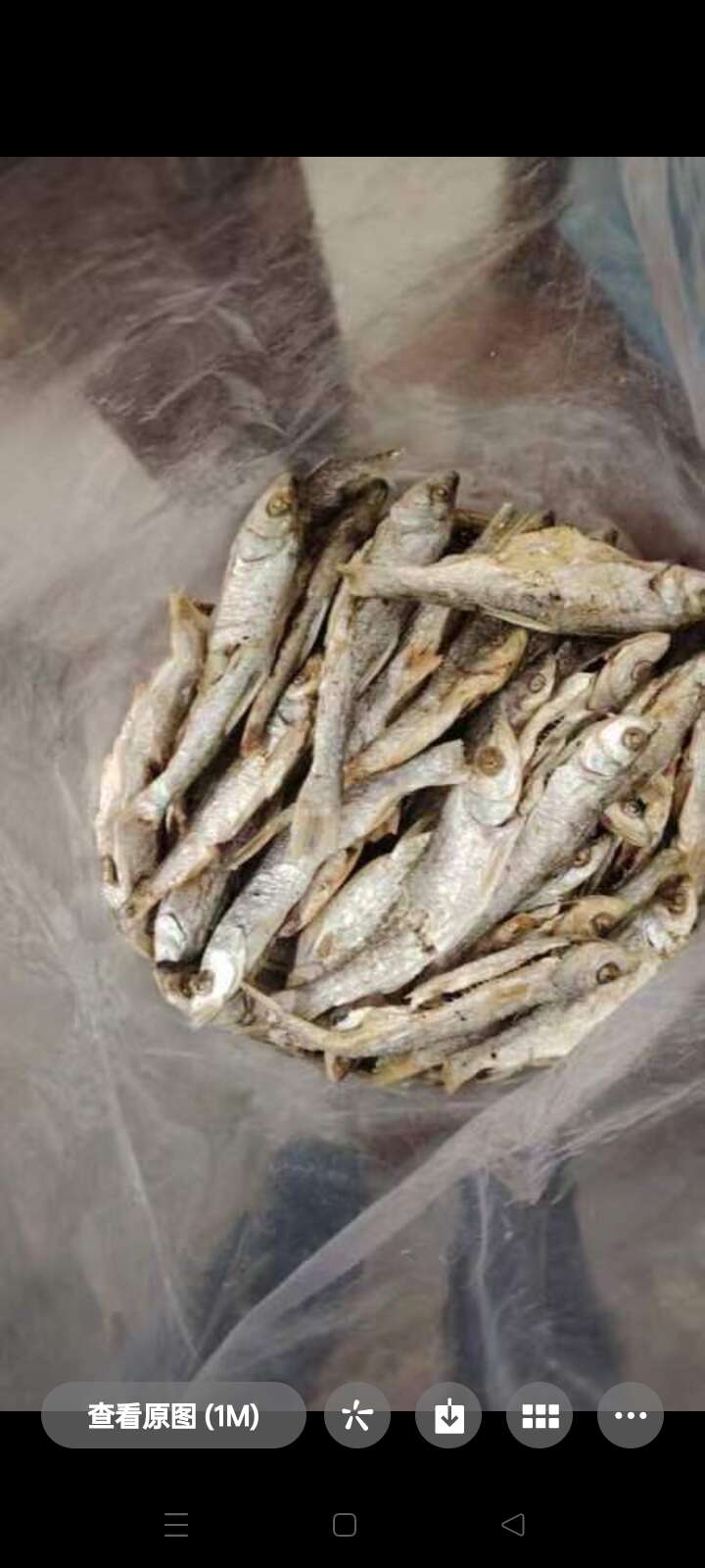 小白条鱼仔干大型水库无污水污染。