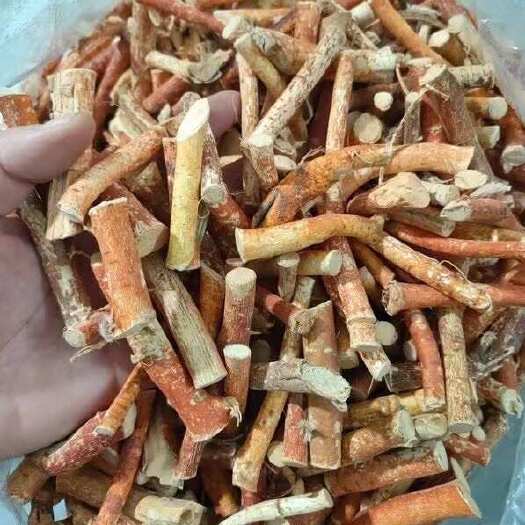 广州五指毛桃