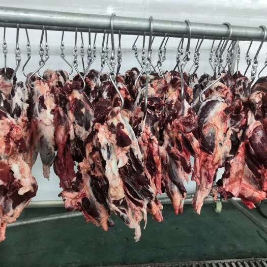 徐州新鲜现杀黄牛肉