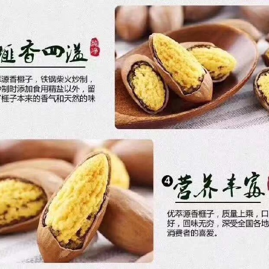 上海香榧