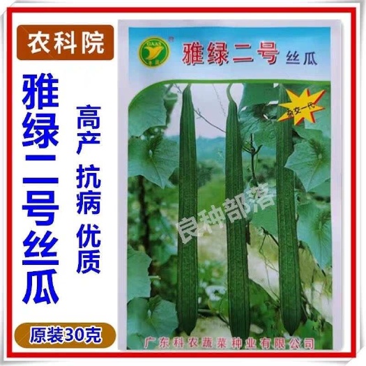 包邮 粤蔬牌  雅绿二号丝瓜品种30克彩袋包装 有棱角长丝瓜