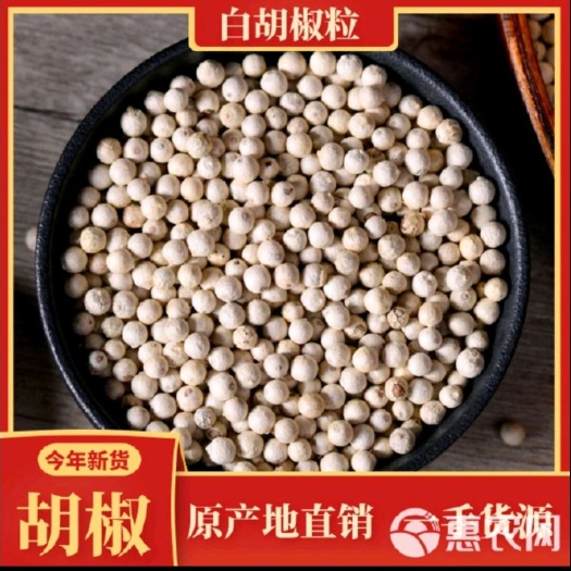 东莞市白胡椒粒 海南精品白胡椒粒 颗粒均匀