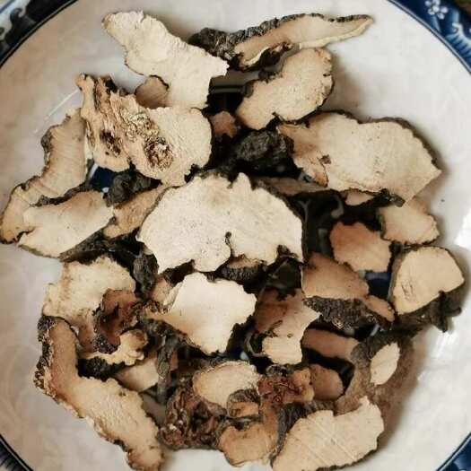 猪苓 中药材批发供应猪苓 产地直销