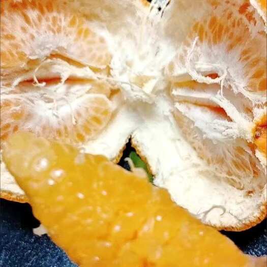 荣县新桥沙土耙耙柑