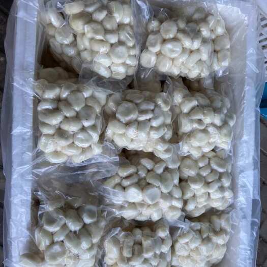 宁化县去皮马蹄