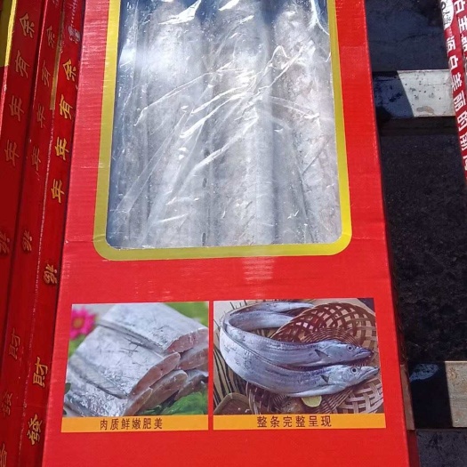阳信县舟山新货带鱼