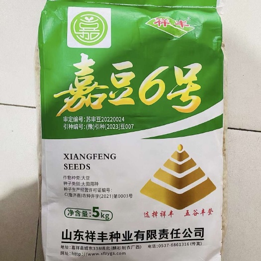 宿迁嘉禾神州豆3号大豆种子黄豆种子 祥丰嘉豆6号大豆种子黄豆种子