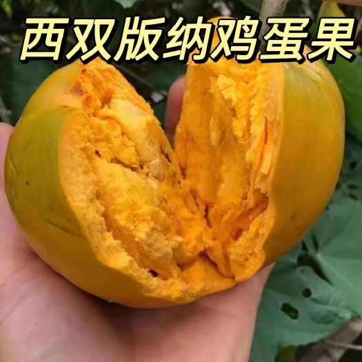 景洪市[顺丰速运]鸡蛋果新鲜当季云南西双版纳鸡蛋果
