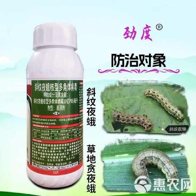 劲度斜纹夜蛾核型多角体病毒蔬菜菜青虫钻心虫甜菜夜蛾生物杀虫剂