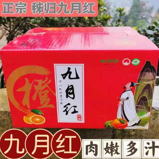 东营九月红