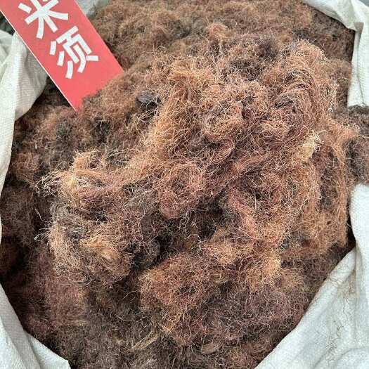 亳州批发全新玉米须，手捡净货玉米须