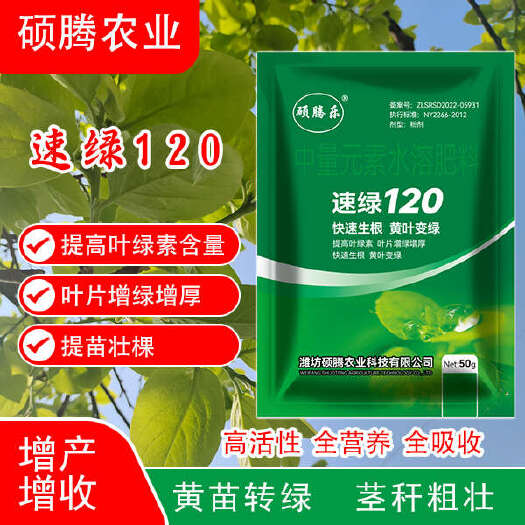 青州市速绿120黄叶变绿叶小叶变大叶卷叶变展叶