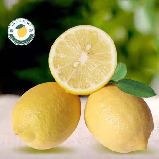 安岳县柠檬   黄柠檬   产地批发  规格齐全   四季供货