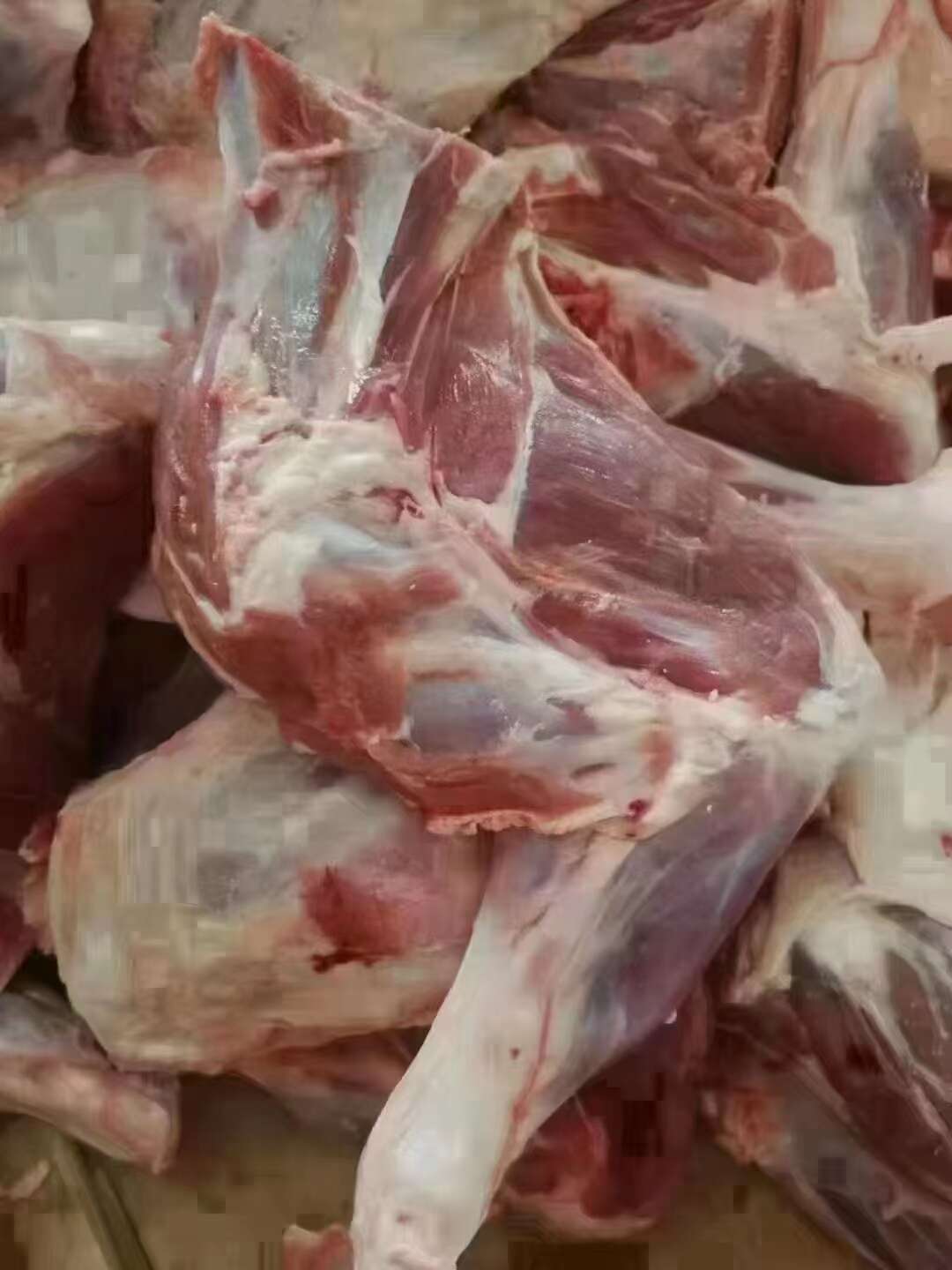 羊前腿.烧烤前腿