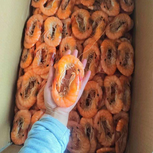 滨州特大湿对虾，高品质海产，送礼卖货，肉质紧实肥美，味道鲜美