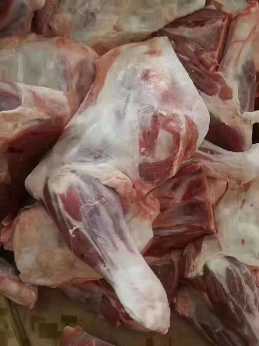羊前腿.烧烤前腿