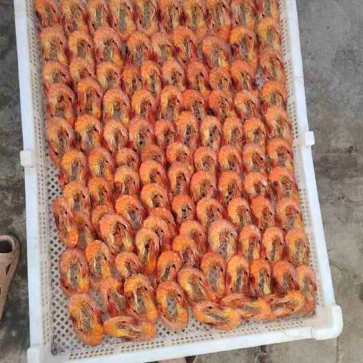 滨州大对烤虾，品质优良，渤海湾特色海产品