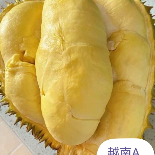 上海越南干尧A3