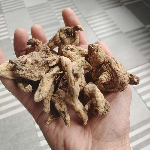 山阳县白芨统货