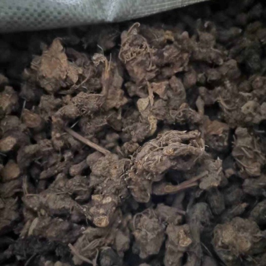 山阳县苍术
