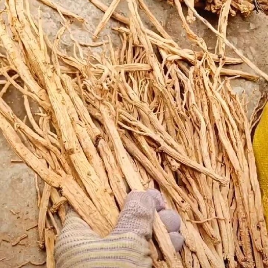深圳农村自地自种植天然党参