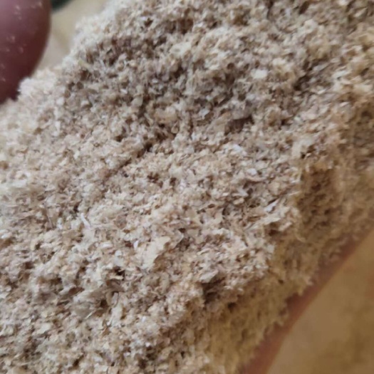 麸皮