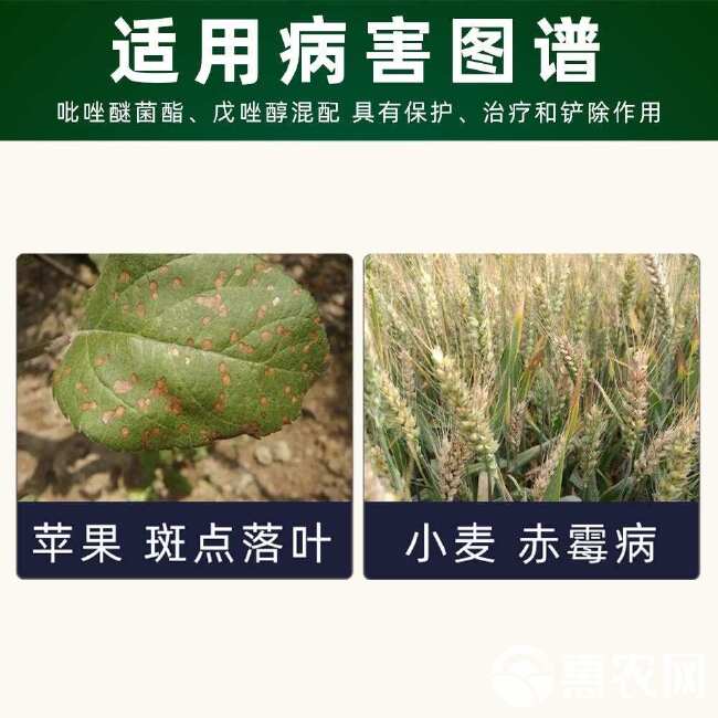 10%唑醚戊唑醇斑点落叶病黄斑病沙皮病果树杀菌剂