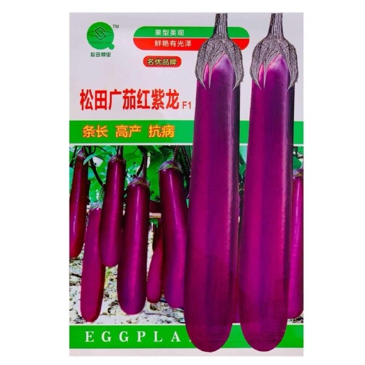 沭阳县广东长茄红紫龙茄子种子紫红长茄春秋季阳台种籽早熟杭茄蔬菜种子