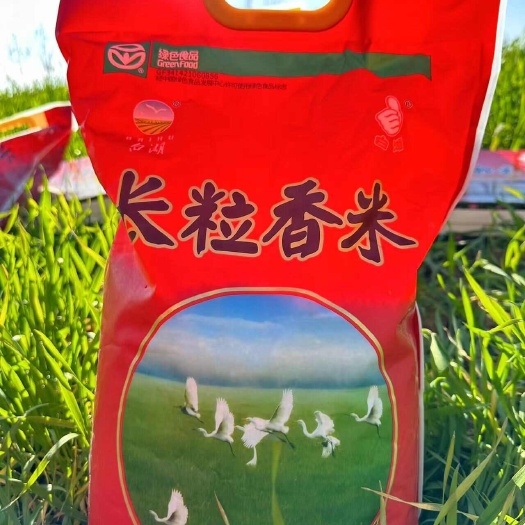 合肥安徽白湖长粒香大米，