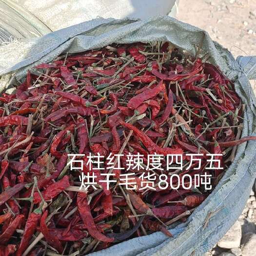 昌吉市石辣6号红干椒