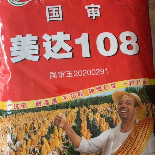 永济市玉米种子 美达108种子 大棒一粒封顶不突尖 抗旱抗倒伏