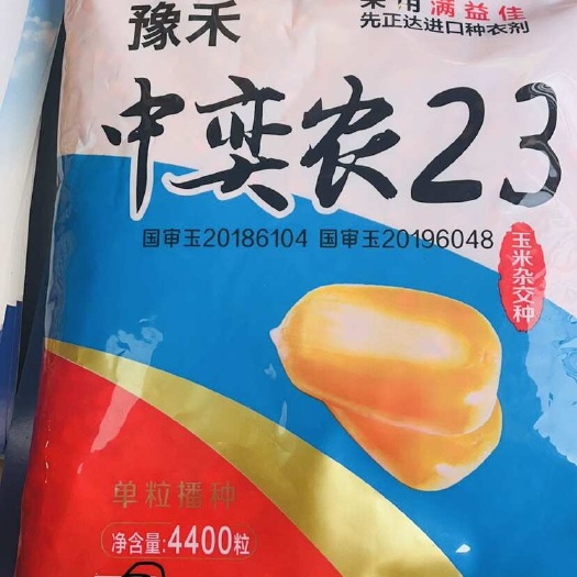 永济市杂交玉米种子 中奕农23 双国审 矮秆 抗倒伏抗病