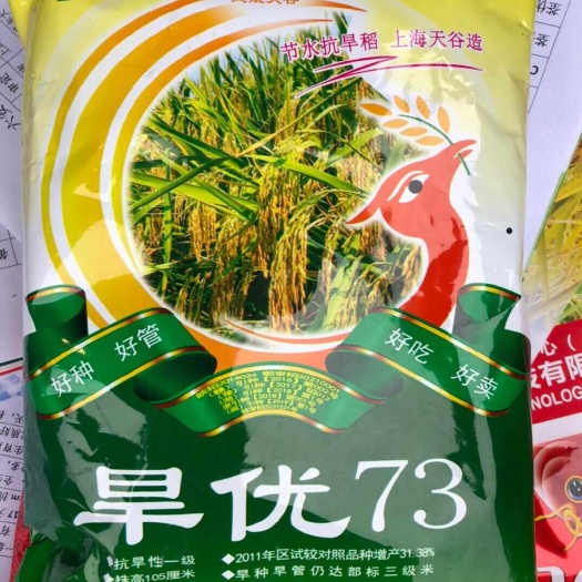 杂交旱稻种子旱优73旱地山地坡地高产籼稻水稻种子现货直发包邮