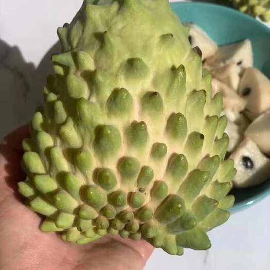 高州市释迦果