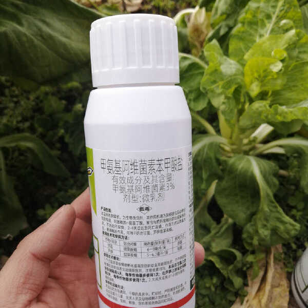 农药杀虫剂抗性蓟马3%甲氨基阿维菌素苯甲盐黄瓜芒果缸豆枇杷