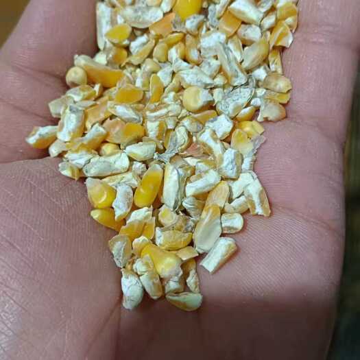 太康县碎玉米精品碎玉米各种碎玉米，需要私信详聊。