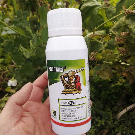 桂林农药杀虫剂抗性蓟马3%甲氨基阿维菌素苯甲盐黄瓜芒果缸豆枇杷