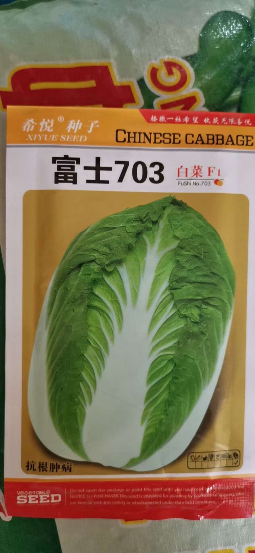 黄心白菜种子 703大白菜