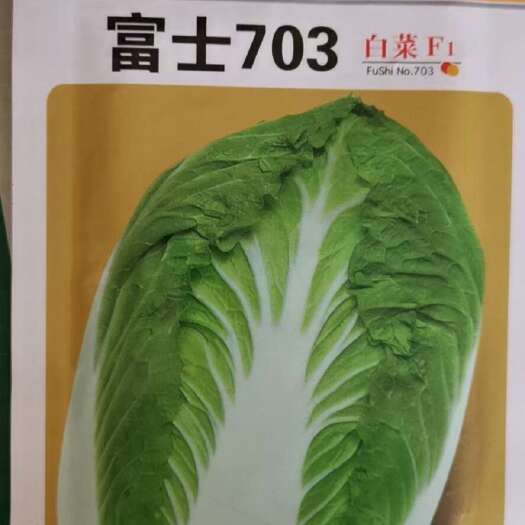 黄心白菜种子 703大白菜