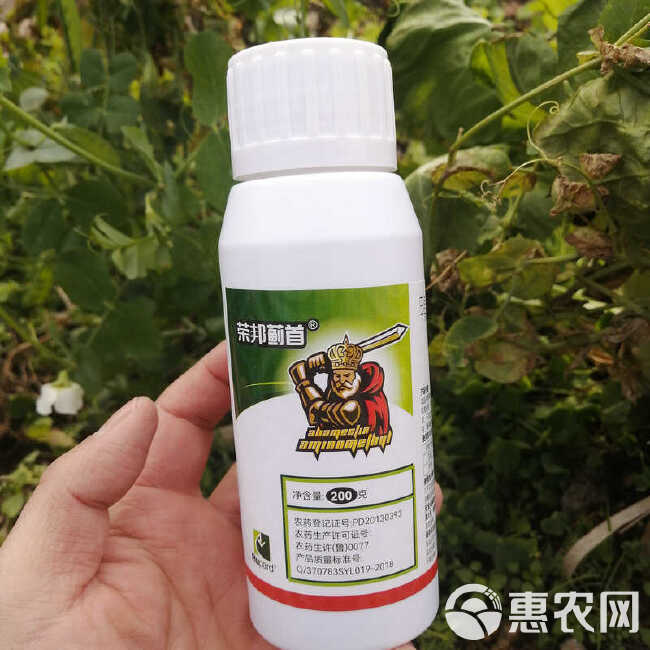 农药杀虫剂抗性蓟马3%甲氨基阿维菌素苯甲盐黄瓜芒果缸豆枇杷