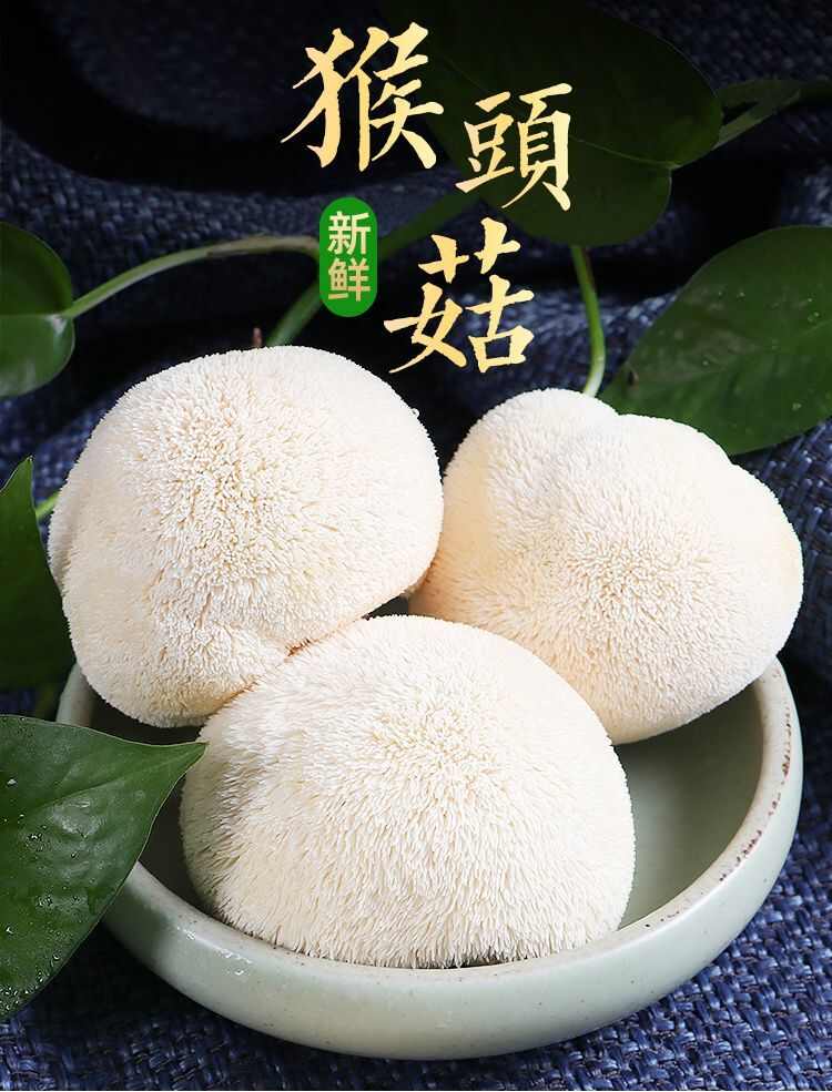 新鮮猴頭菇蘑菇菌菇野生食用菌煲湯無(wú)硫熏煲湯猴菇蘑菇