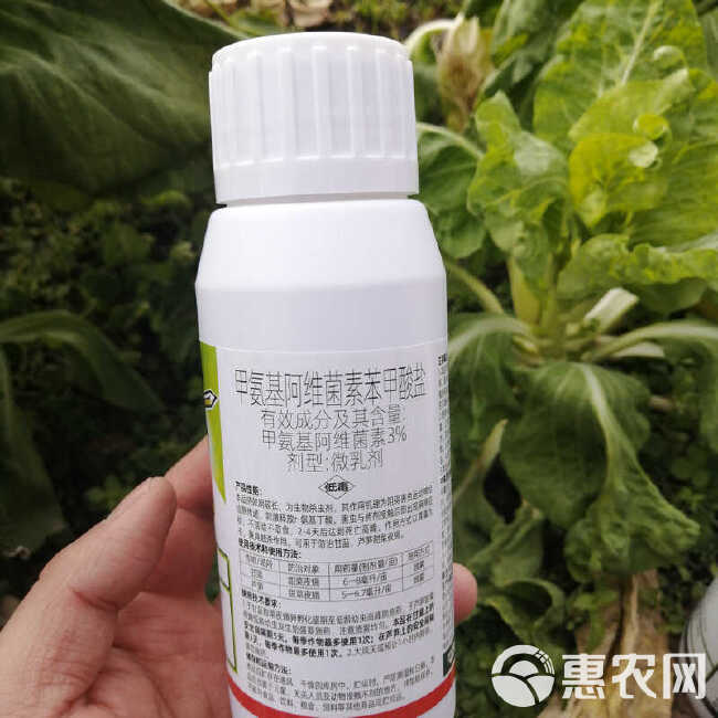 农药杀虫剂抗性蓟马3%甲氨基阿维菌素苯甲盐黄瓜芒果缸豆枇杷