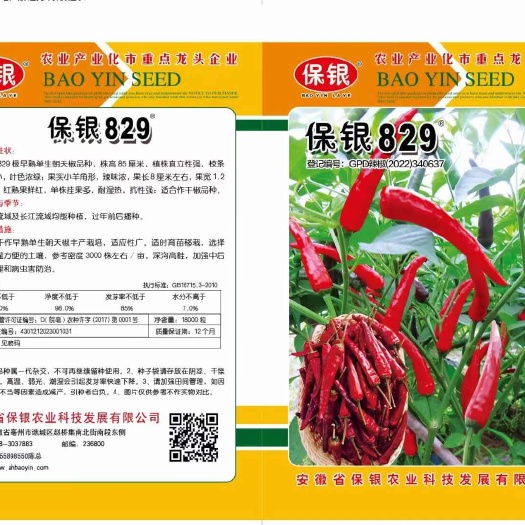 亳州保银829辣椒种子