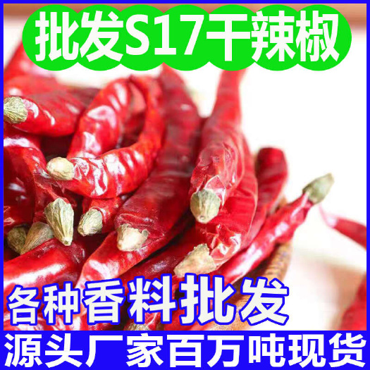 玉林干辣椒批发 S17高辣度颜色好干爽质量 香辛料一手货源