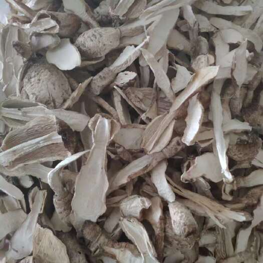 福建省古田鸡腿菇干货新鲜烘干食用菌土特产精选菌菇厂家直销批发