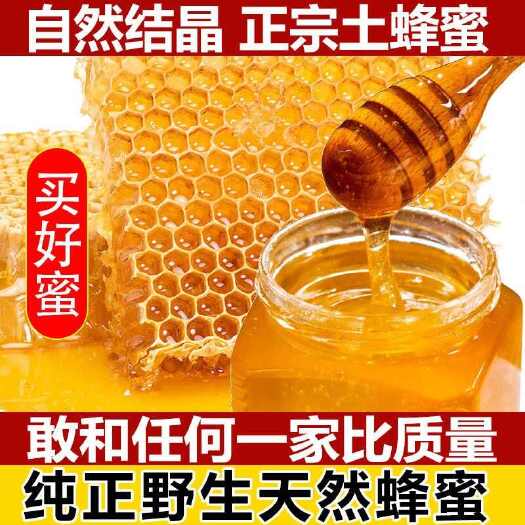 北流市农家纯正天然野生土蜂蜜木桶百花蜜态自然结晶蜜深山巢蜜