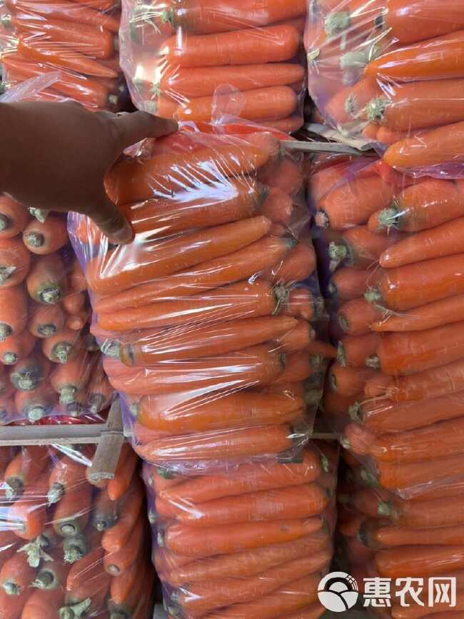 水洗大中小条精品胡萝卜泥萝卜电商市场货