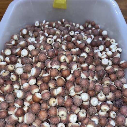 亳州芡实鸡米头芡实粒药食同源